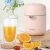 Import Small portable juicer cup manual juicer household squeezer fruit orange lemon juicer from China