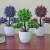 Import Small potted plant simulation of plastic potted plants and artificial flowers from China