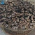 Import Smokeless wood sawdust charcoal making machine carbonization oven from China