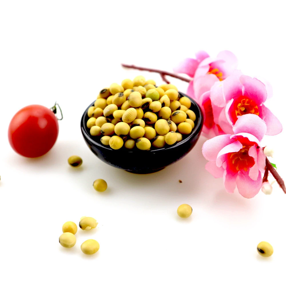 soybean (New crop)