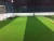 Import sports turf futsal grass football field lawns from China