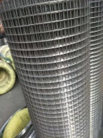 stainless steel wire mesh /stainless steel crimped wire mesh /stainless steel screen wire mesh