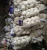 Import supply china 60g and up fresh taro from China