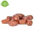 Import Sweet Taste and Preserved Style red Jujube Dry dates Good Price from China