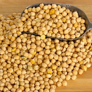 Top Grade Kabuli Chickpeas And Lentils For sale/ Dried Chickpeas