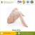 Import Top Quality Frozen Whole Chicken Wing for Bulk Purchase from South Africa