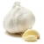 Import Top Quality Wholesale Fresh Garlic in Mesh Bag from China