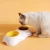 Import TT06 WYCY 2022 New Arrival PP Single and Double Pet Yolk Bowl Anti-tipping Puppy Feeding Double Bowl from China