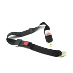 Universal Retractable Car Safety Belt Automatic 2 Point Seat Belt