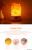 Import USB Charging Himalayan Lamp Bedside Warm Night Lamp Crystal Rock Natural Salt Lamp from China