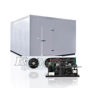 VCR50 Cold Room for ice storage with 50CBM with PU panels with favorable price