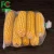 Import vegetable fruit protection net bag drawstring mesh bag for peanut corn bean from China