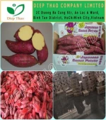 VIETNAM FRESH SWEET POTATOES _WE CAN ASSIST WITH FROZEN/FRESH SWEET POTATO_POWDER SWEET POTATO