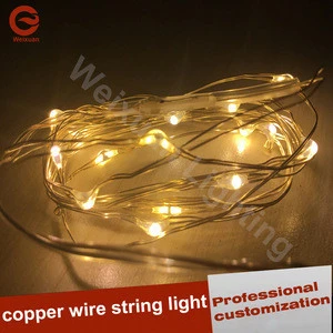 Warm white LED copper wire string light for holiday lighting 3V Festival lights supplies