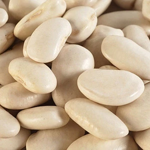 white kidney beans / butter bean / white bean