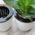 Import White plastic Succulent Cactus Planter Flower Pots with Bamboo Tray for Home Decoration from China