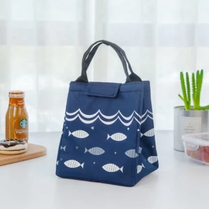 Wholesae Outdoor Picnic Bags Cute Carton Tote Thickened Handbag Insulation Kids Lunch Bag