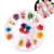 Import Wholesale 3D  tiny  plum petal accessory dry flower  Nail  Decals for nail art decorations from China