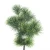 Import Wholesale artificial plant larch simulation plastic grass masson pine from China