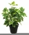 Import Wholesale Artificial Plants Plastic Plant with Pot for home decor 36cm artificial grass Ivy bonsai from China