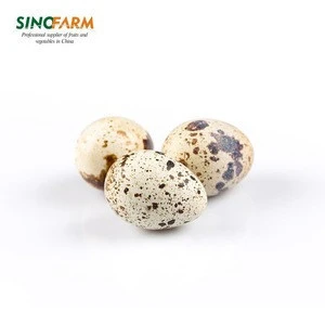 Wholesale canned food made by fresh quail eggs