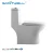 Import Wholesale Chaozhou ceramic supplier WC sanitary ware one piece Washdown-Rimless toilet from China