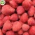 Import Wholesale Cheap Fresh Frozen Fruit Export Sweet Red Seedless Frozen Strawberry from China