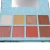 Import Wholesale Custom Blusher Palette Highly Pigmented Bronzer Blush Private Label from China