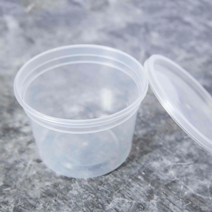 Wholesale Extra Durable Airtight Disposable Small Plastic Food Containers With Lid Packaging