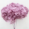 Wholesale Flower Material Size 70cm Preserved Flower Single Anna Hydrangea With Long Stem for Decoration