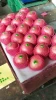 Wholesale origin Chinese fresh apple