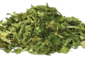 Wholesale Price Egyptian Various Dried Condiment Seasoning Lemon Grass Dry Herbs Organic Lemongrass Spices