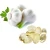 Import Wholesale Price Providing Energy  Organic Garlic Oil Softgel from China