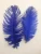Import wholesale white large ostrich feather from China