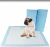 Import Wholesalers Disposable Puppy Pet Absorbent Dog Training Pee Pad Mat from China