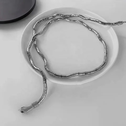 Winding snake-shaped necklace personality dark earth cool mouth casual modeling snake exaggerated European and n alloy collar