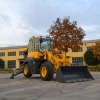 WZ30-25 2.5TON Backhoe Loader for sale