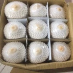Young coconut