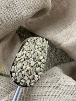 Green Coffee – Arabica & Robusta