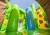 Import Amusement Park Inflatable Jungle Giraffe Bouncy inflatable Castle With Slide from China