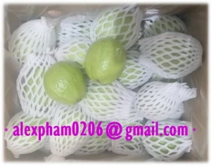 Fresh Guava Amrood Fruit/ Green Orange/ Ambarella Fruit/ Plum Makok_whatsapp 0084399948793