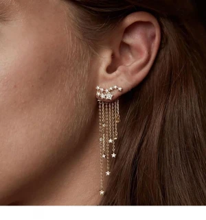 Fashion Jewelry Shining Back-hanging Pop Star Tassel Exquisite Earrings Earrings Women