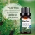 Import Pine Tree 100% Pure Natural Aromatherapy Essential Oil  Body Whiten Christmas Gift from China