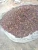 Import Crack Palm Kernel Nut from Nigeria