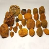 Grade A Golden Yellow Natural  Ox Gallstones - 100% Pure -  Direct Supplier Sri Lanka