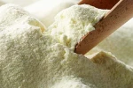 Sweet Whey Powder