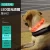 Import Dog LUMINOUS  Collar from China