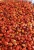 Import Crack Palm Kernel Nut from Nigeria