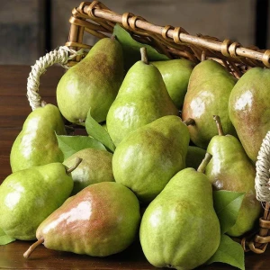 Fresh Pear