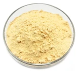 Organic Lion's Mane Powder